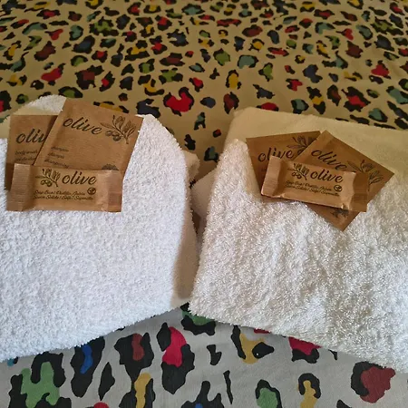 Gregory Vatican Bed and Breakfast 4*